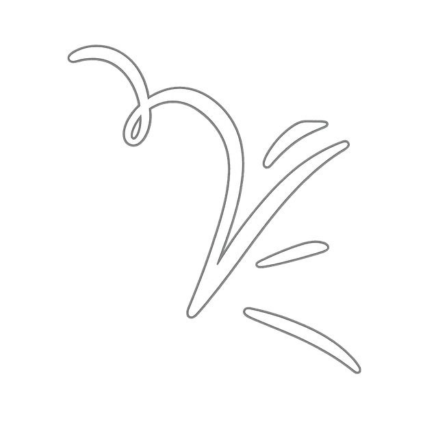 Checkmijnverzekering Logo Illustratie